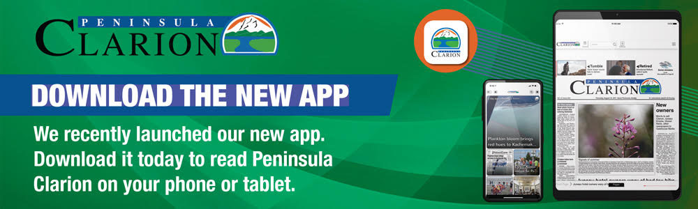mobile app
