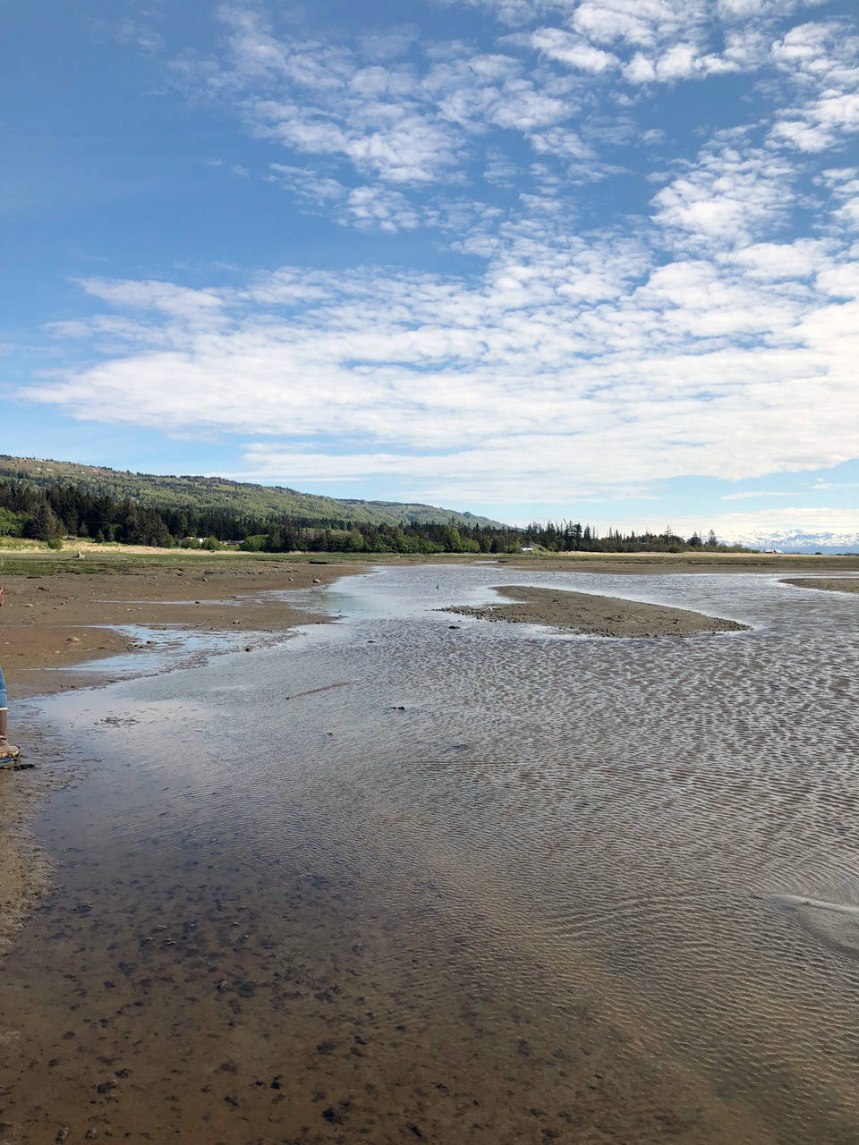 Beluga Slough, in Homer, is one of several estuaries on the Kenai Peninsula. (Photo provided by Kenai National Wildlife Refuge)