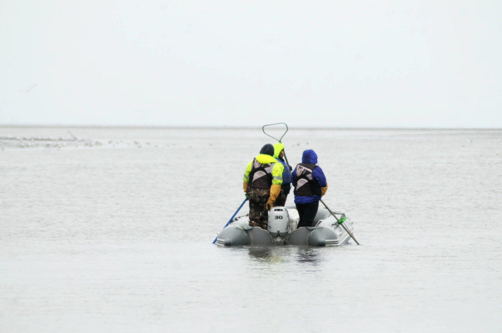 Kasilof opens, fish counts still low Peninsula Clarion