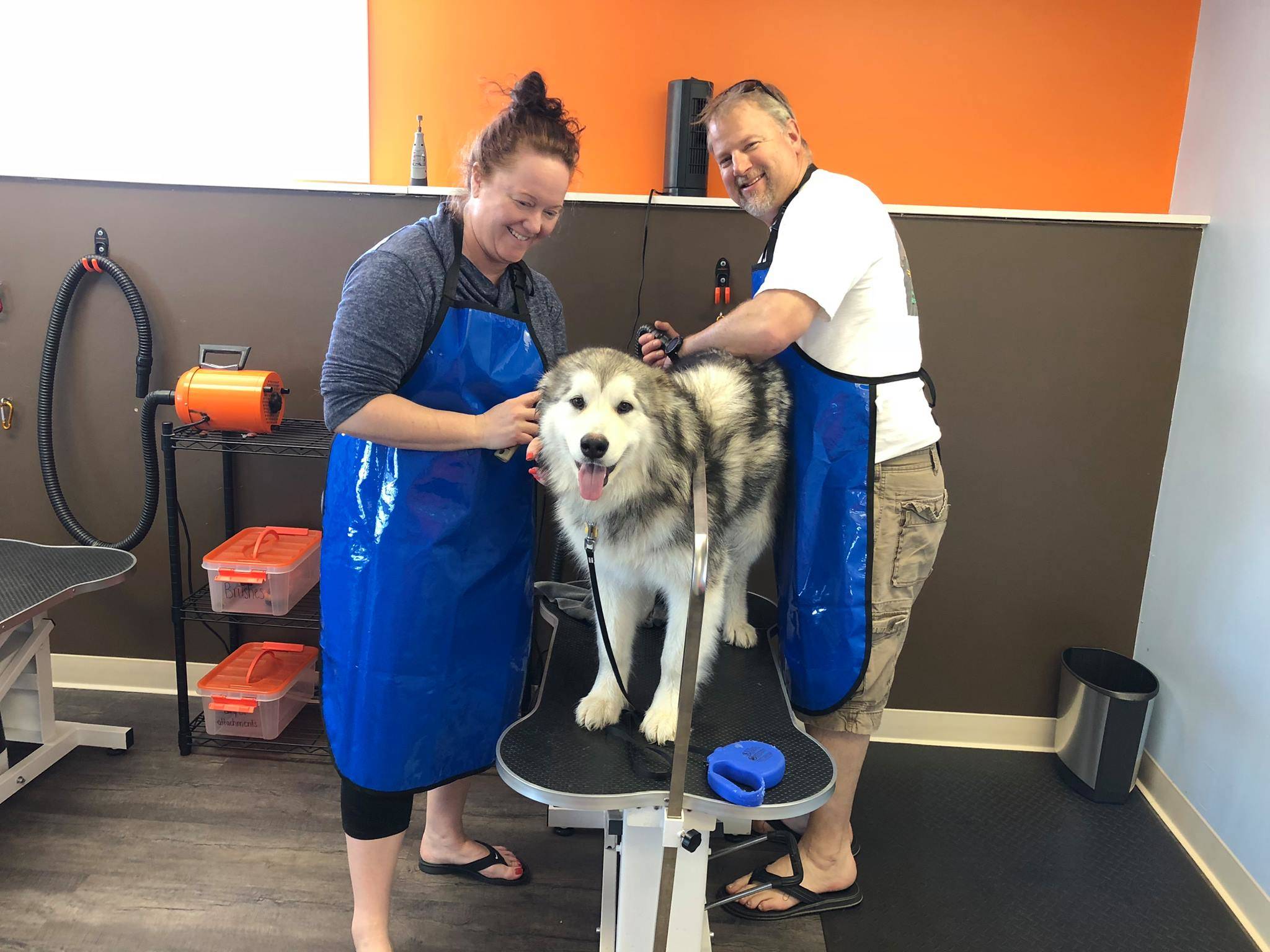 Customers use Muddy Mutts self-service operations to clean their dog. (Photo courtesy of Nick Sorrell)