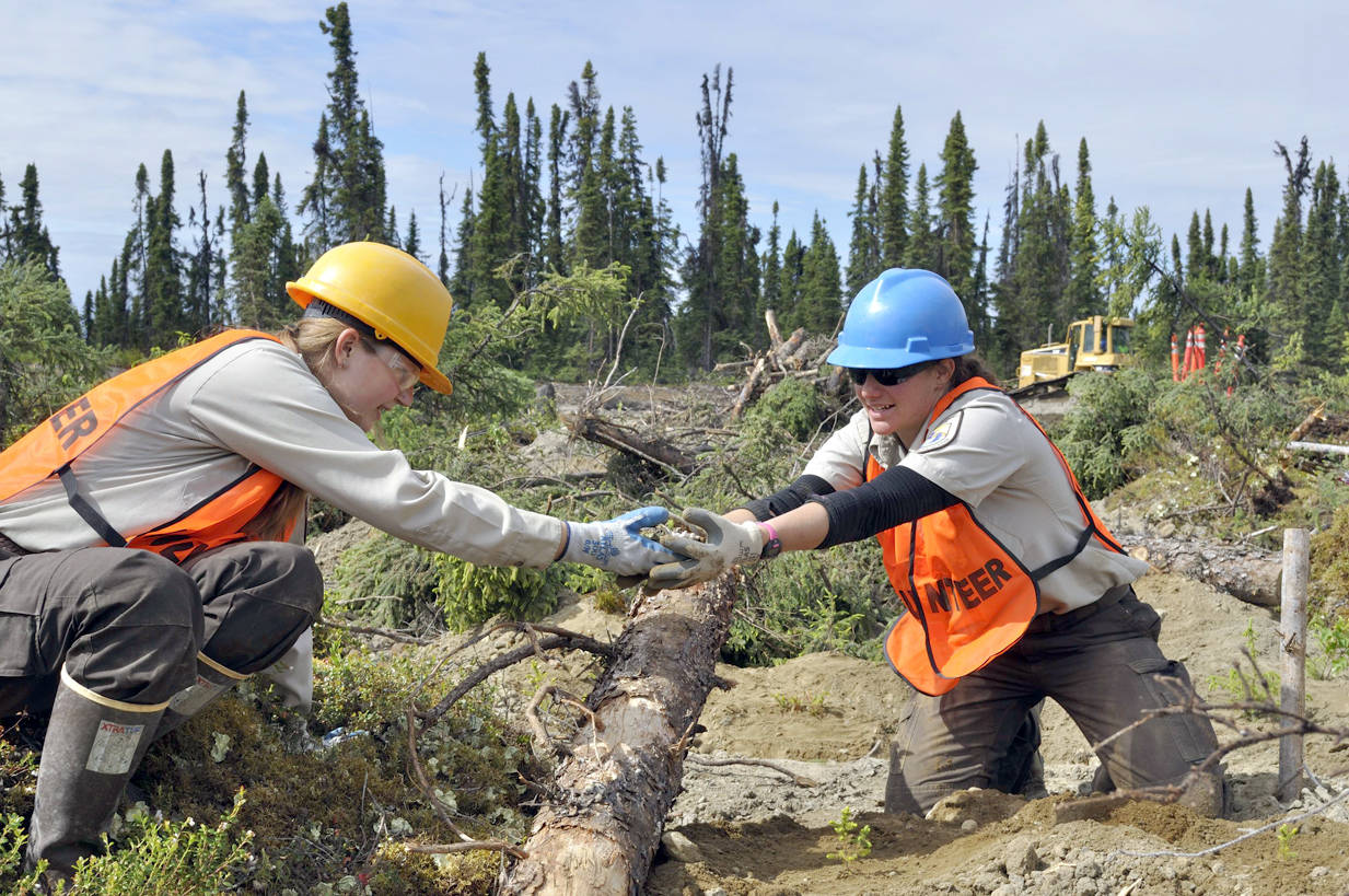 Kenai National Wildlife Refuge interns Angel Smith and Laura Bashor help Hilcorp Alaska restore a retired gas pad east of the Swanson River Oil Field. (Photo by Lorene Lynn)