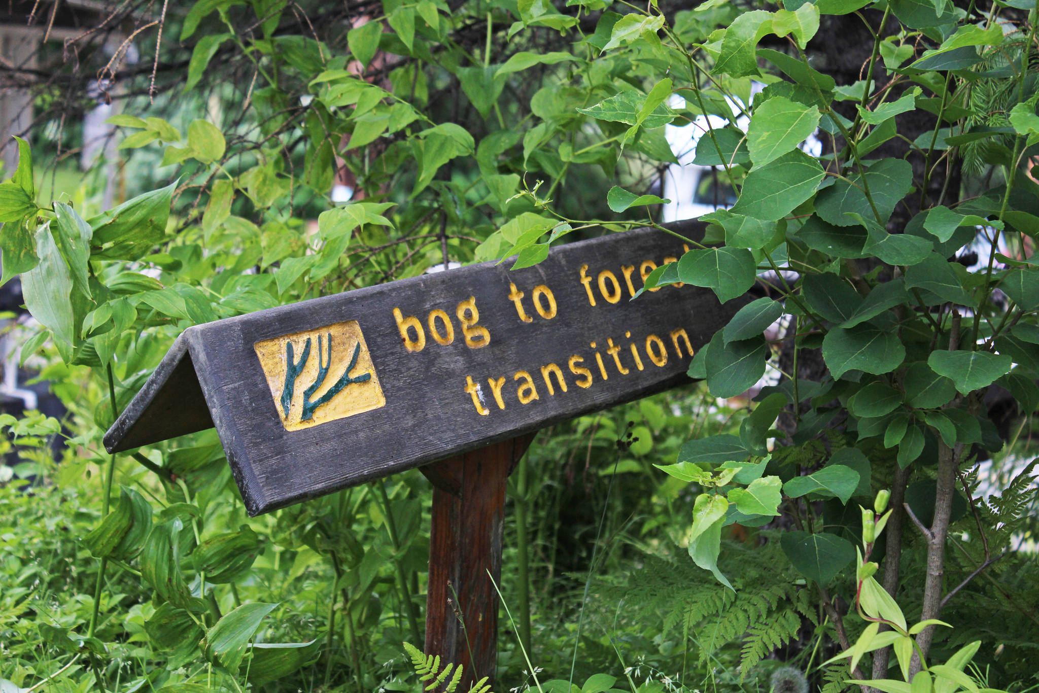 A sign points out to visitors a transition in the climate and makeup of the Pratt Museum’s botanical garden, pictured here Thursday, July 12, 2018 in Homer, Alaska. One of the projects for Yarrow Hinnant, the museum’s new gardener, is revamping some of the signage for the garden. (Photo by Megan Pacer/Homer News)