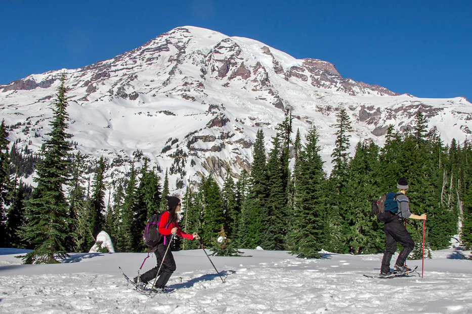 Snowshoers enjoy a stunning view of Mount Rainier on a trek near Paradise, Wash., Jan. 20, 2014.  Synchronizing your steps atop snowshoes is an art - one that was practiced well before its rise in popularity as a winter recreation. (AP Photo/Roger Werth, Longview Daily News)