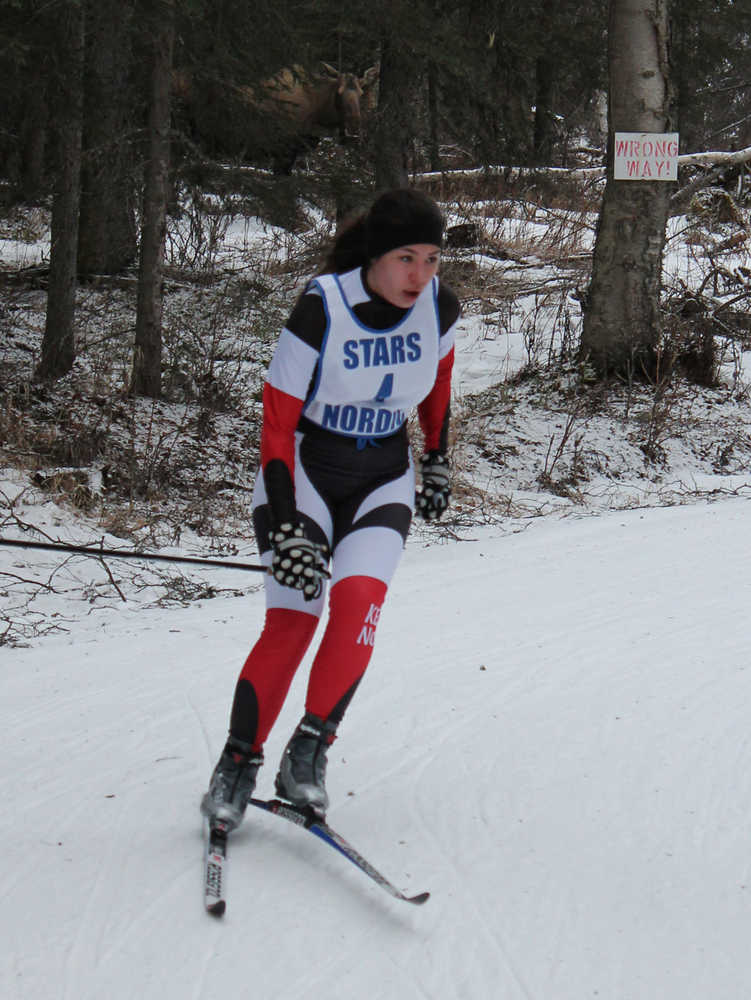 Photo by Jeff Helminiak Under the watchful eye of a moose, Kenai's Beverly Schindler whizzes around a turn Friday during the girls five-kilometer freestyle at the Region III Nordic Ski Championships at Tsalteshi Trails.