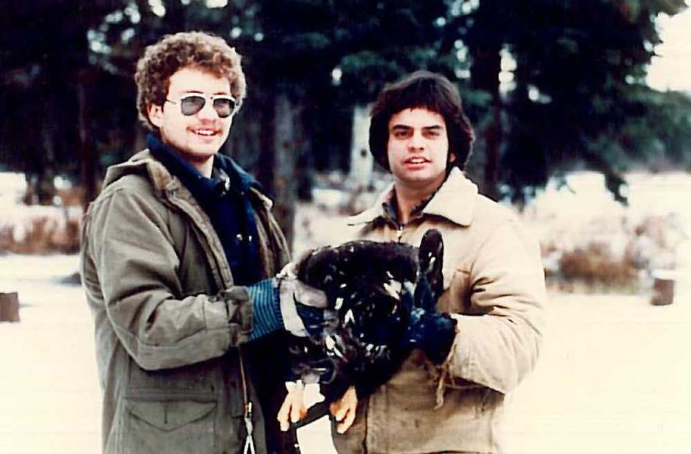 Volunteers Mike Kesterson and Carlos Paez release a radio-tagged Bald Eagle captured on the Upper Kenai River during the winter of 1984-85.