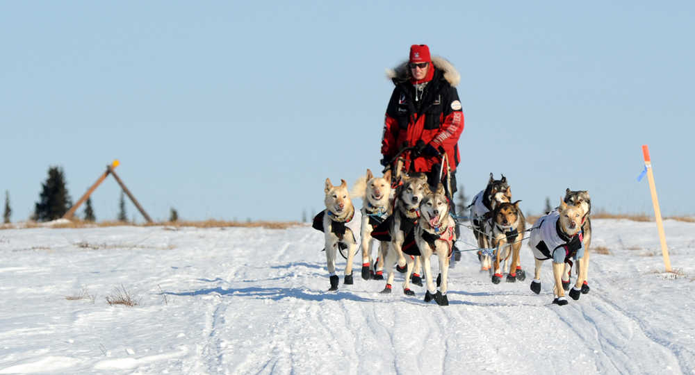 Aliy Zirkle drives her dog team across the portage from Kaltag to Unalakleet. Zirkle is the first musher to reach the Bering Sea in Unalakleet during the 2014 Iditarod Trail Sled Dog Race on Saturday, March 8, 2014. (AP Photo/The Anchorage Daily News, Bob Hallinen)