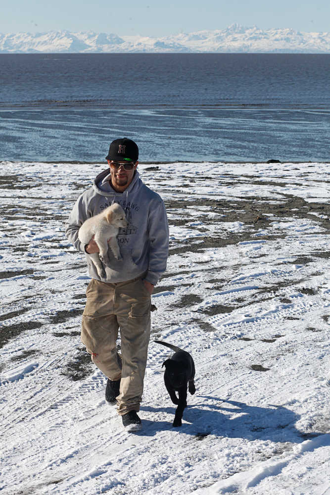 Photo by Rashah McChesney/Peninsula Clarion  Julien Harris, of Soldotna, carries his puppy Jazzy while his other puppy, Roscoe, runs alongside near the Old Cannery Road entrance to the beach just south of the mouth of the Kenai River Thursday March 20, 2014 in Kenai, Alaska. Thursday's vernal equinox - the first day of spring in the Northern hemisphere - was marked by sunny weather and a 32 degree high temperature in Kenai.