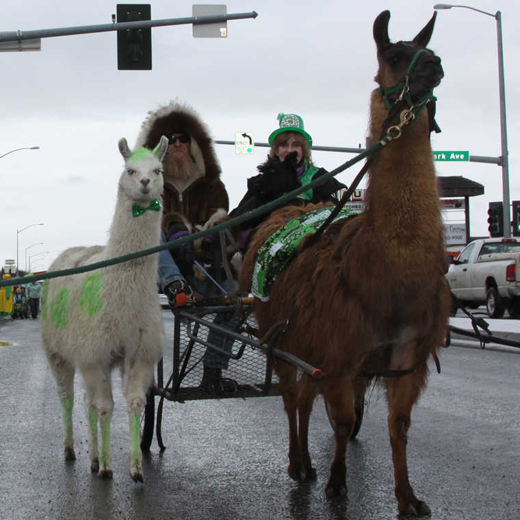 Snow Squall holds as 23rd St. Patrick's Day parade passes by