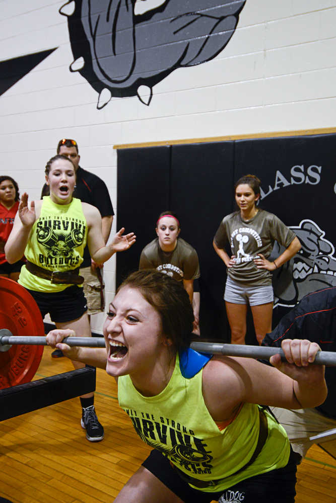 Photo by Rashah McChesney/Peninsula Clarion  Katie Costello, senior, attemps to squat 300 pounds Thursday March 27, 2014 during Speed, Strength Training compeition at Nikiski High School in Nikiski, Alaska. Costello said her max weight was 335.