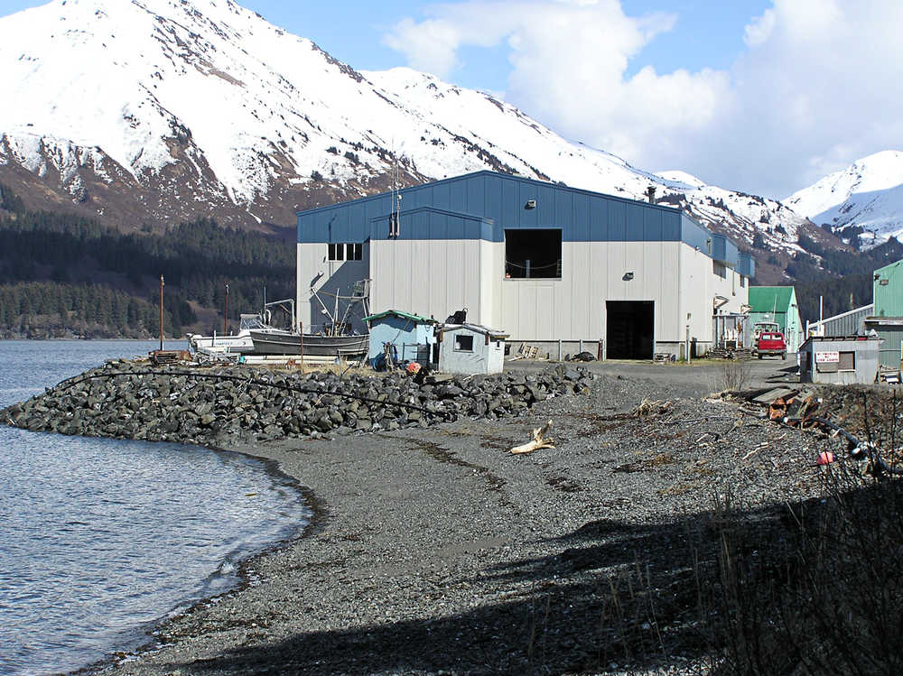 Courtesy photo Cook Inlet Aquaculture Association  The Cook Inlet Aquaculture Association bought the Port Graham hatchery Monday, shown in this 2013 photo, and has plans to incubate 84 million pink salmon eggs in 2014 at the facility.