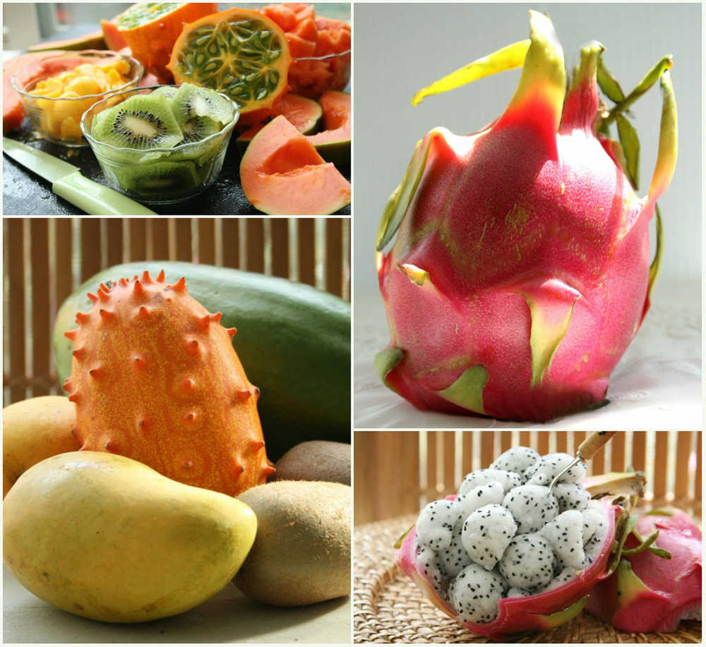 Colorful, exotic and fantastically edible