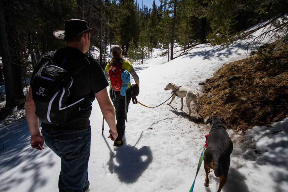 Samantha and Eric Tipler head out with dogs Cash, right, and Gadget for a hike in the Mountain Lakes Wilderness area near Klamath Falls, Ore., March 23, 2014.  Exploring the endless trails in the Klamath Basin has to offer is made even more enjoyable when your faithful companion, your dog, is along for the journey, too.(AP Photo/Herald and News, Steve Silton)