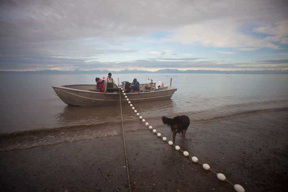 Photo by Rashah McChesney/Peninsula Clarion  In this August 8, 2012 file photo commercial setnet fishers pick a net during a calm day in the Cook Inlet.