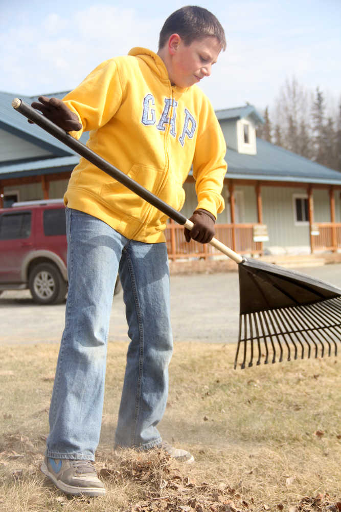 Spring cleaning Eli Heinrich, 13, rakes dead grass and leaves in front of Fireweed Herb Garden and Gifts on North Forest Drive in Kenai on Monday afternoon. Photo by Kaylee Osowski/Peninsula Clarion