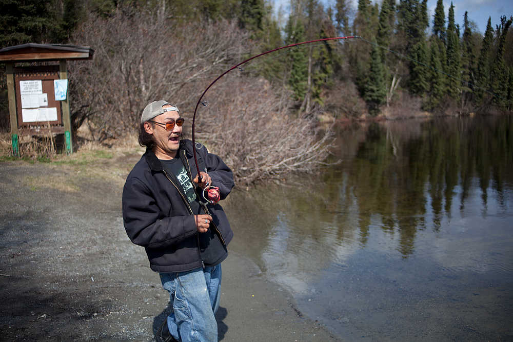 Photo by Rashah McChesney/Peninsula Clarion  Bill Schmidt, of Sterling, shouts as he lands a landlocked sockeye salmon, or kokanee, while fishing Wednesday May 7, 2014 at Sport Lake in Soldotna, Alaska. Schmidt said his wife wanted the fish for her birthday, so he spent part of the afternoon fishing for the kokanee which he intends to smoke and gift to her.