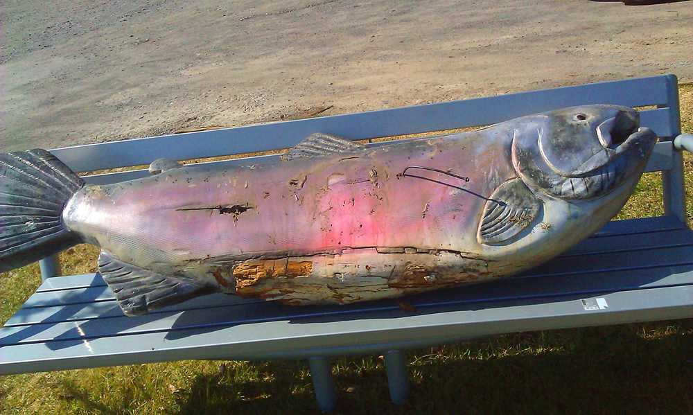 Photo courtesy Michelle Glaves The fish was found ripped from the hands of Les Anderson and placed on a bench 30 feet from the statue, Saturday, May 9, at the Soldotna Chamber of Commerce.