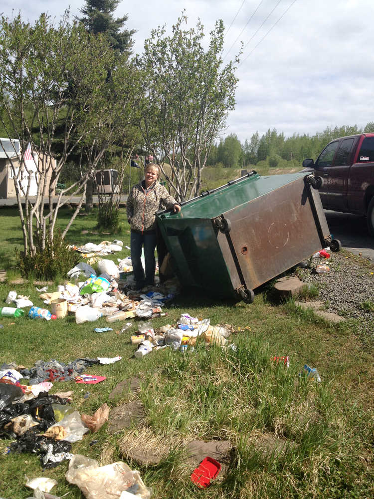 Photo courtesy of Tom Bearup. Adele Bearup stands next to a commercial-sized dumpster, which was pushed over by bears. The Bearups live on Mile 91 of the Sterling Highway.
