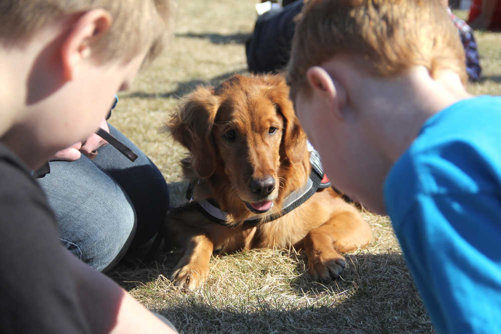 Lucy, a certified therapy dog, listens to fourth grader Gideon Jackson (left) and kindergartener Brayden Wilkenson (right) read on Tuesday, May 20, at Kalifornsky Beach Elementary School in Soldotna. Photo by Kaylee Osowski/Peninsula Clarion