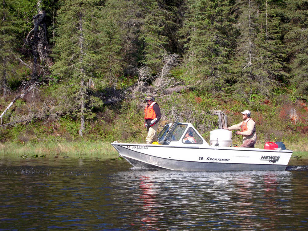 Three agencies work together to spread fluridone pellets to eradicate elodea. Scott Schuler, SePRO, works the hose, John Morton, Kenai National Wildlife Refuge, drives and Matt Steffy, Homer Soil and Water Conservation District, fills the hopper for pellet spreader. Photo courtesy of Kenai National Wildlife Refuge