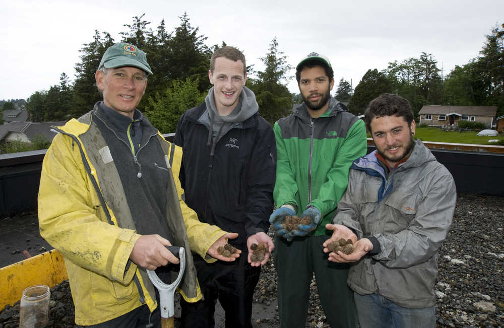 In this June 18, 2014, photo, volunteer workers, from left, Brant Brantman, Bridger Williams, Xaver Clarke and Jesse Brantman hold up some of the iron balls they found mixed in the rocks they were removing from the Hames Center roof in Sitka, Alaska. The balls likely came from the same place as the rocks --the Indian River area, the site of battles between Tlingit Natives and Russians in 1804. They may be Russian canister shot fired from ship's cannons. (AP Photo/Daily Sitka Sentinel, James Poulson)