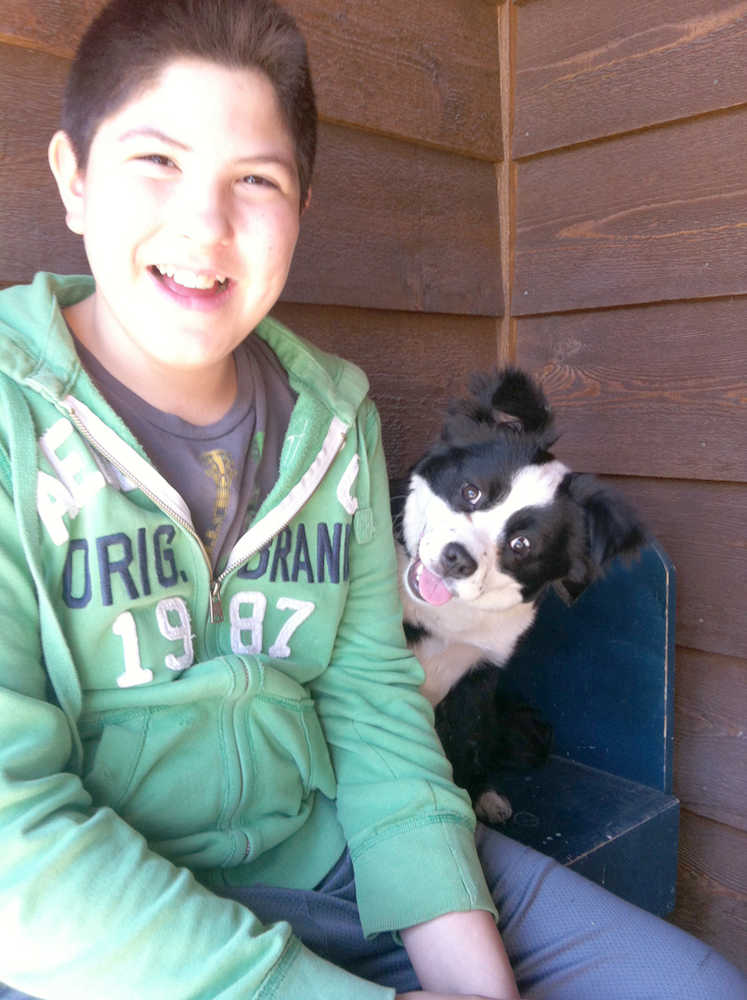 Submitted photo Kym Miller shared this photo of her family's 9-month-old mixed Boston terrier/shih tzu dog named is Panda, posing with Liam Miller. Kym writes that Panda "has a lot of character and likes to pose for the camera."