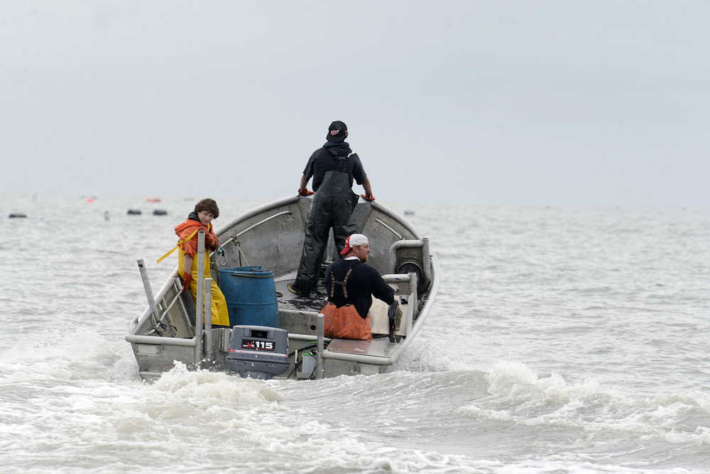 Photo by Rashah McChesney/Peninsula Clarion  Commercial set gillnetters push their skiff further into the Cook Inlet as they race to pick salmon from their nets Wednesday July 9, 2014 in Kenai, Alaska.