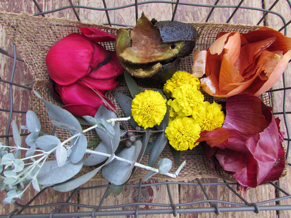 This photo provided by St. Lynn's Press shows the first step to gather plants materials for making an original eco dyed scarf. For this particular scarf, eucalyptus leaves (both in the dye as well as in the bundled scarf), marigold petals, red and yellow onion skins, red rose petal and avocado skins were used.  (AP Photo/St. Lynn's Press, Chris McLaughlin)