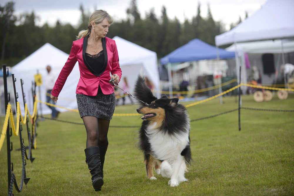 dog shows this weekend