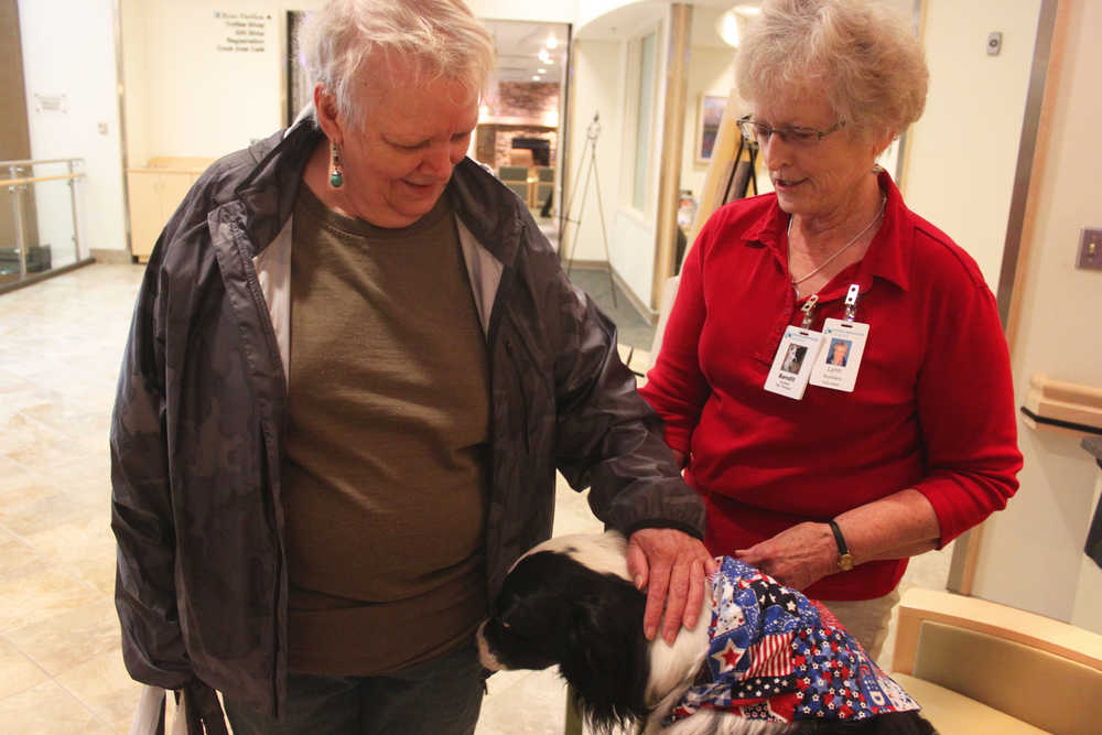 Photo by Kelly Sullivan/ Peninsula Clarion Penny Richel stops on her way up to an appointment to pet Bandit, Lynn Whitmer's certified therapy animal, Wednesday, July 23, at Central Peninsula Hospital.