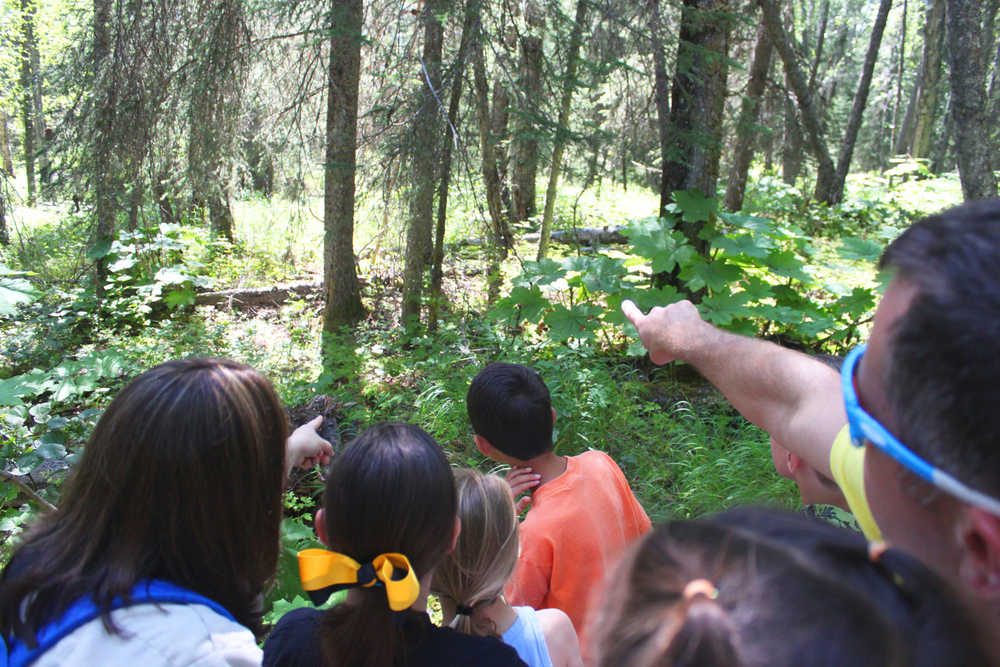 Photo by Kelly Sullivan/ Peninsula Clarion Kenai Wildlife Refuge Park Ranger Leah Eskelin points out a red-backed vole to the group of 15 in the Family Explorer Program, Saturday, August 2, 2014, on the Keen-Eye Nature Trail in Soldotna.