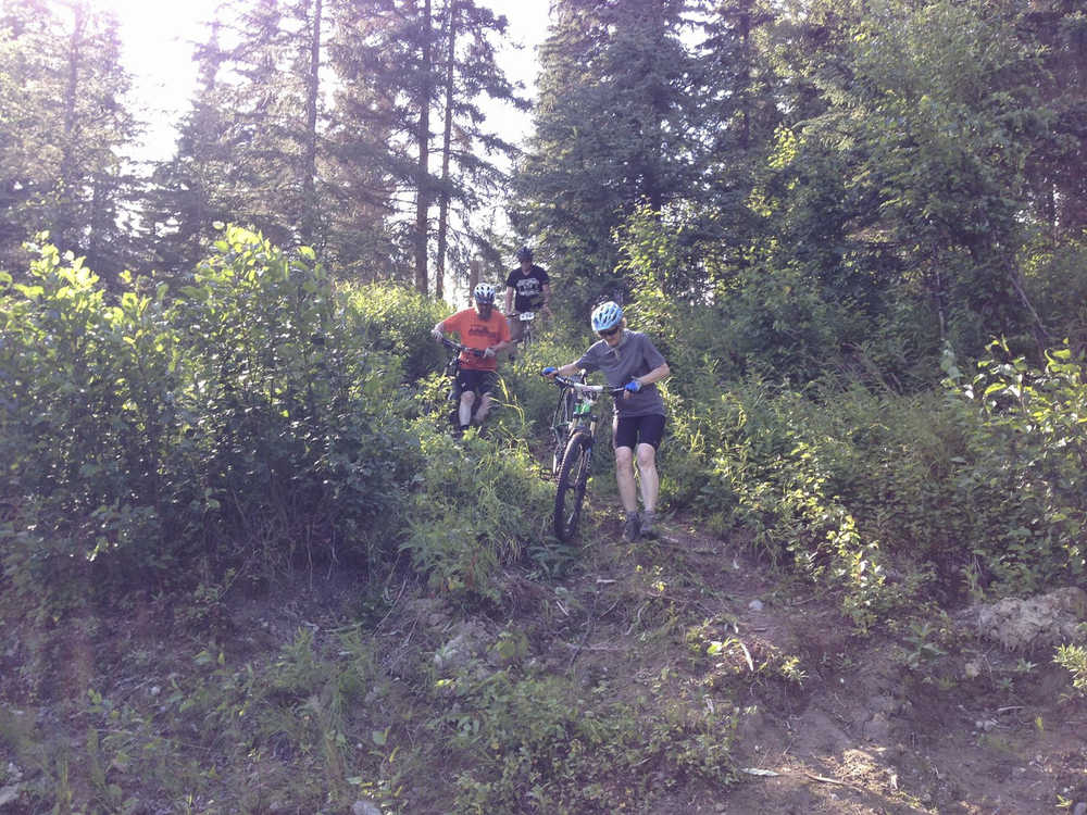 Contributed photo by Tsalteshi Trails Association Several make their way downhill during the fourth Salmon Cycle Series race Thursday July 31, 2014 on the Tsalteshi Trails in Soldotna, Alaska.