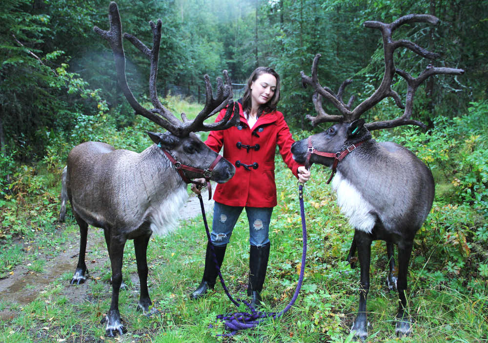 Photo by Kaylee Osowski/Peninsula Clarion Jenna Hansen, 17, has been raising reindeer for three years in Nikiski. She organizes photo opportunities with her two reindeer, Scene of the Crash and Comet, to raise money for homeless youth. Hansen also teaches students about reindeer. At the Alaska State Fair in Palmer this summer, Hansen was awarded a $1,500 scholarship from the Summer of Heroes, a partnership program between Alaska Communications and the Boys and Girls Clubs of Alaska that recognizes youth performing community service projects.
