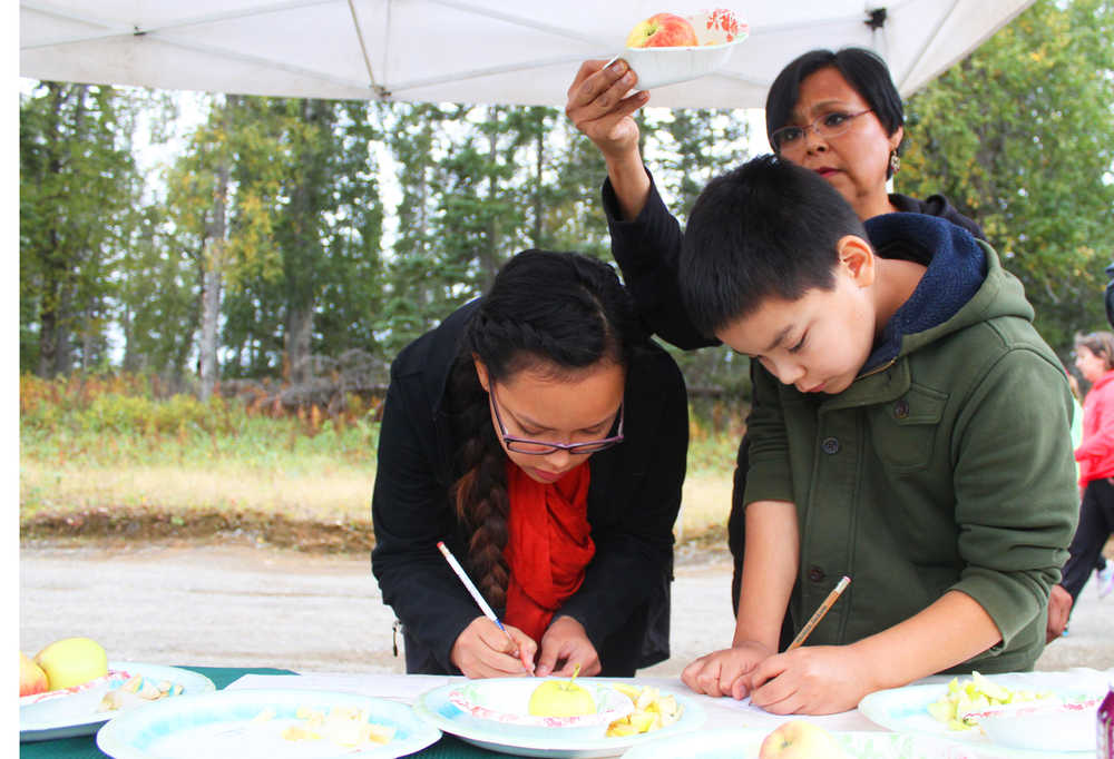 Photo by Kelly Sullivan/ Peninsula Clarion Photo by Kelly Sullivan/ Peninsula Clarion Cana Howard, Ibri Howard and Vellena Howard blind taste tested and rated 15 apples, Sunday, September 14, 2014 in at O'Brien Garden and Trees in Nikiski, Alaska.