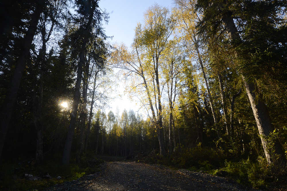 Photo by Rashah McChesney/Peninsula Clarion  The sun sets over a clearing near Skyline Drive Wednesday September 24, 2014 in Soldotna, Alaska.