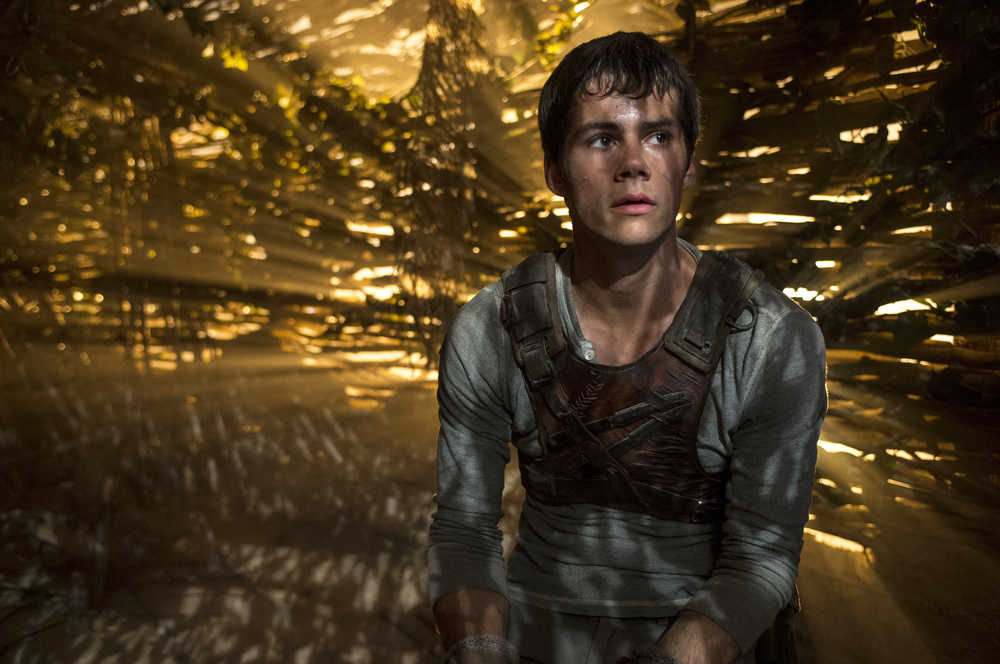 In this image released by 20th Century Fox, Dylan O'Brien appears in a scene from the film, "The Maze Runner." (AP Photo/20th Century Fox, Ben Rothstein)