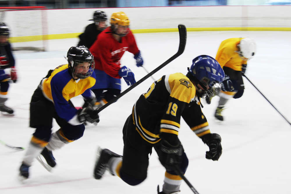 Photo by Kelly Sullivan/ Peninsula Clarion Jordan Knudsen races down the rink during with his peers during a Kenai Peninsula Hockey Association PeeWee C Tier III session Tuesday, October 14, 2014, at the  Kenai Multi-Purpose Facility in Kenai, Alaska.