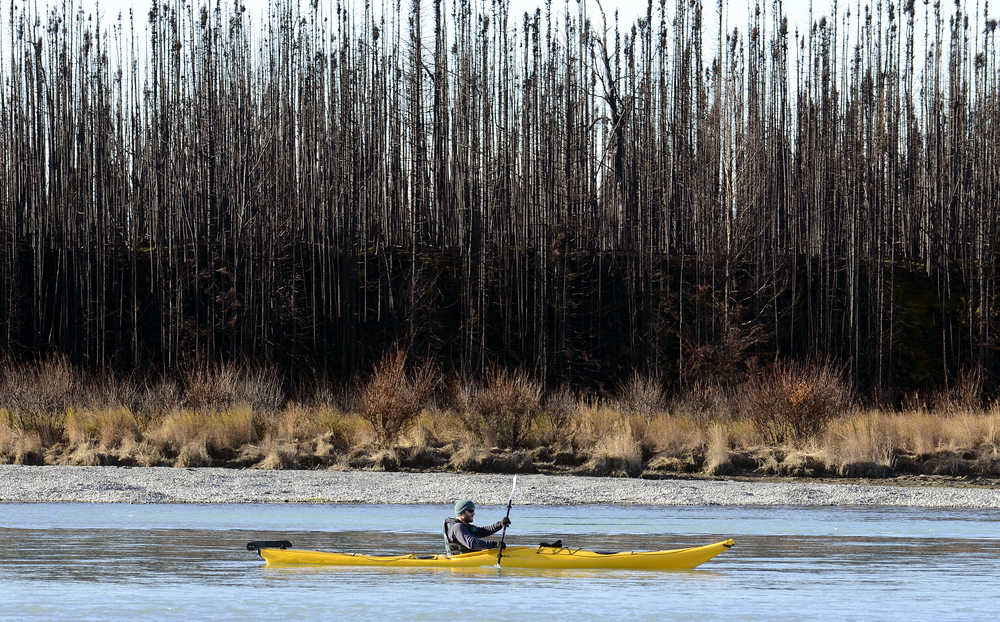 Photo by Rashah McChesney/Peninsula Clarion A kayaker paddles down the Kenai River in an area where the Funny River wildfire burned several thousand acres Sunday October 19, 2014 near Skilak Lake.