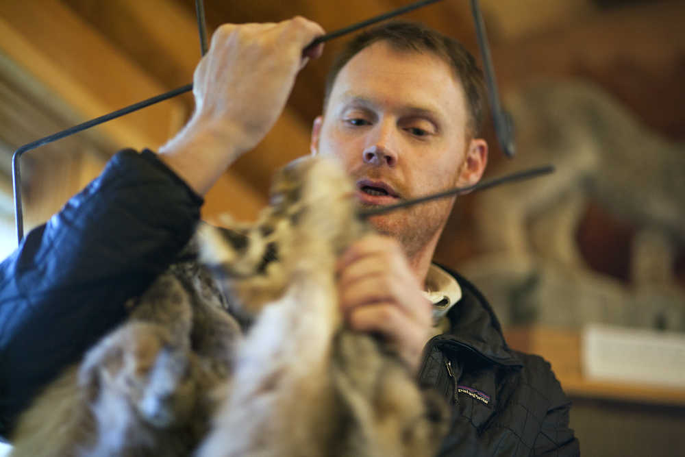 Photo by Rashah McChesney/Peninsula Clarion  Nate Olson, wildlife biologist and pilot for the Kenai National Wildlife Refuge talks about the type of equipment needed to trap a wolf during a class for trappers seeking permits on the refuge Saturday October 25, 2014 in Soldotna, Alaska.