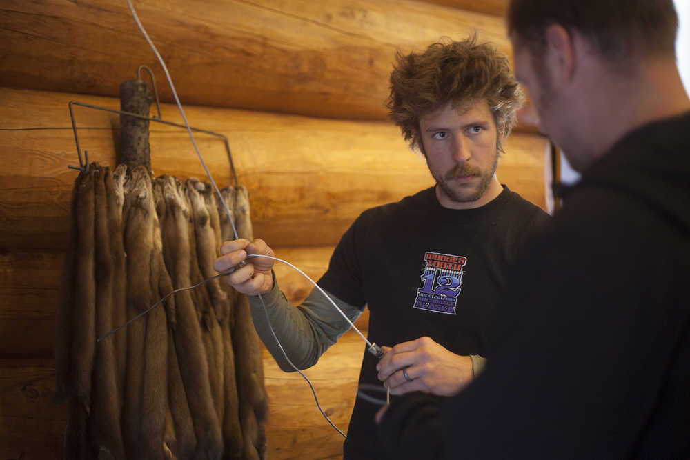 Photo by Rashah McChesney/Peninsula Clarion  A wolf pelt hangs near a window at the Kenai National Wildlife Refuge Environmental Education Center during a class for trappers seeking permits on the refuge Saturday October 25, 2014 in Soldotna, Alaska.