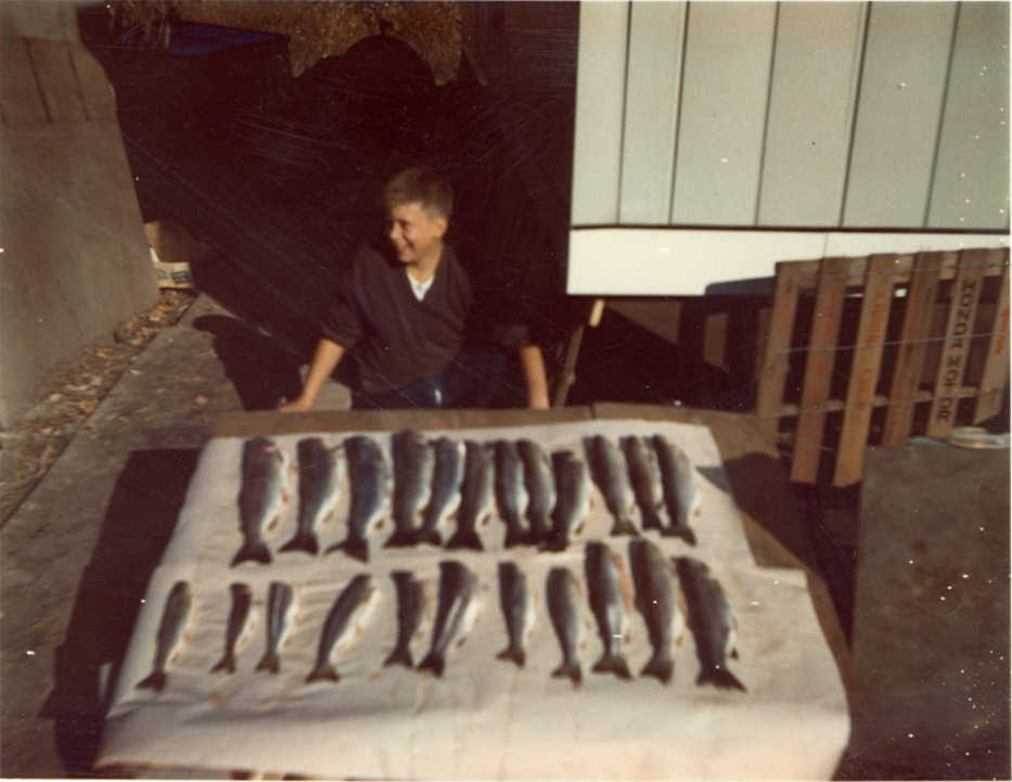 Clyde Mullican's rainbow trout catch from Sevena Lake circa 1970s before introduced northern pike began to affect native fish populations. (Photo courtesy Clyde Mullican)