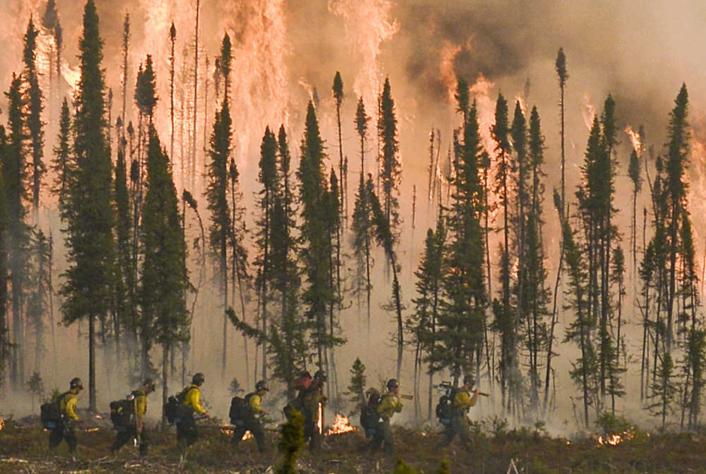 Photo by Rashah McChesney/Peninsula Clarion  In this May 24, 2014 file photo a firefighting crew moves along a fire break in the Funny River Community of Soldotna.