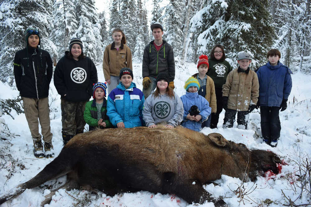 Members of the North Road Rangers 4-H Shooting Sports Club participated in an educational moose hunt in December. (Submitted photo)