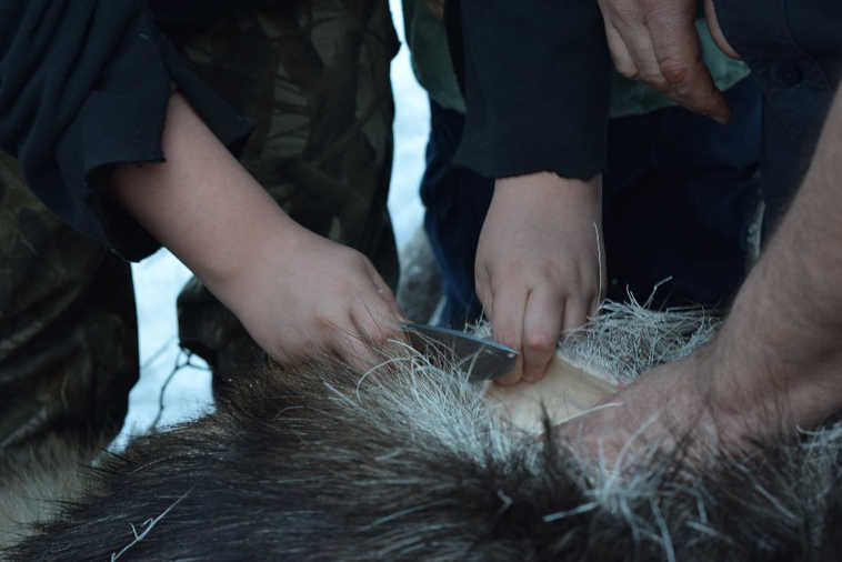 As part of the, members of the North Road Rangers learned how to field dress and process a moose.
