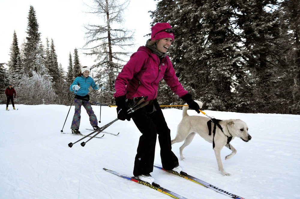 Robyn McGinnity leads her dog, Millie, and her daughter, Mia, on the family's first try at skijoring during a free clinic at Winterfest held on Sunday, Jan. 11, 2015, in Mount Spokane State Park. (AP Photo/The Spokesman-Review, Rich Landers)