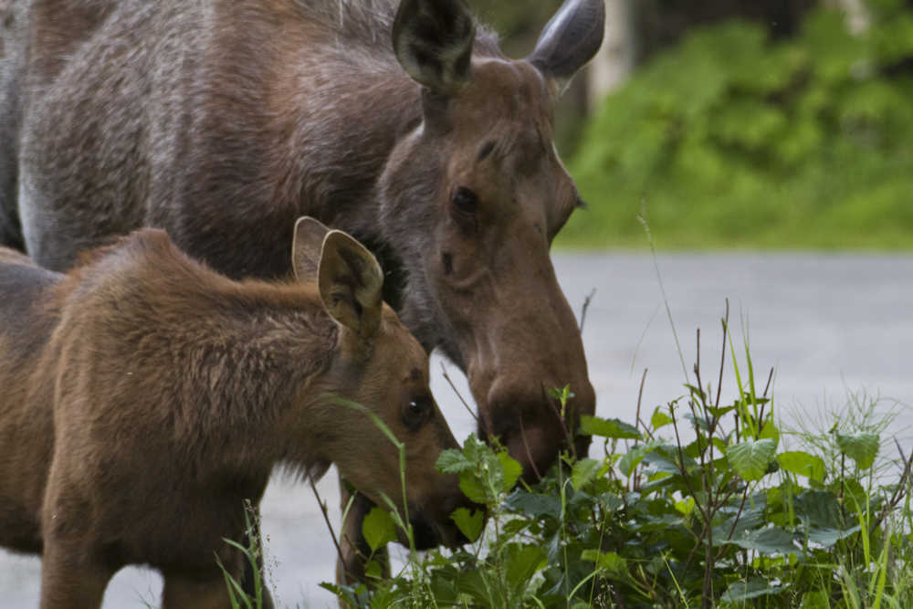 Make preparations now for wonderful, safe, springtime walks