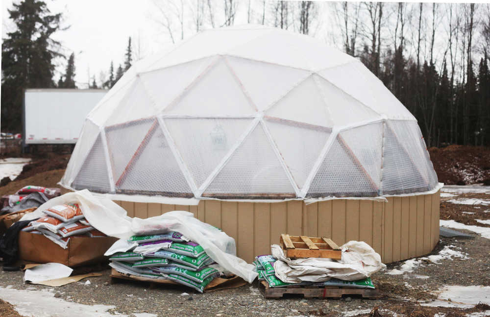 Photo by Kelly Sullivan/ Peninsula Clarion Lark Ticen's 20-foot Arctic Dome was built by James Freed, who installs 15, 20 or 60-foot structures approved through the Natural Resources Conservation Service Seasonal High Tunnel Initiative System for Crops, Monday, March 16, 2015, in Kenai Alaska.