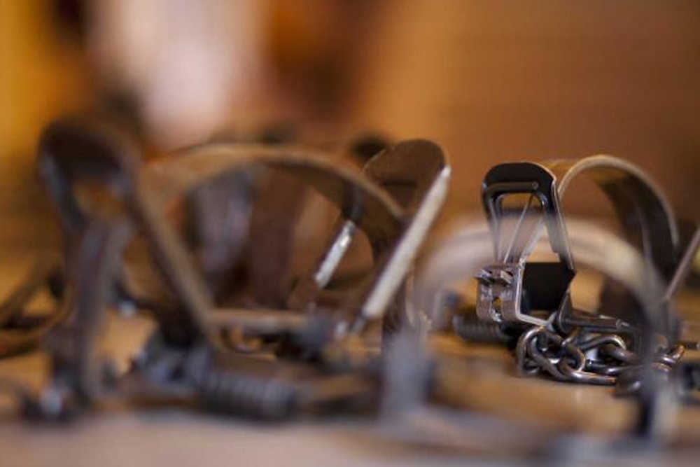 Several types of traps sit on display for trapping hopefuls during a class for people seeking permits to trap on the Kenai National Wildlife Refuge on Saturday Oct. 25, 2014 in Soldotna, Alaska.