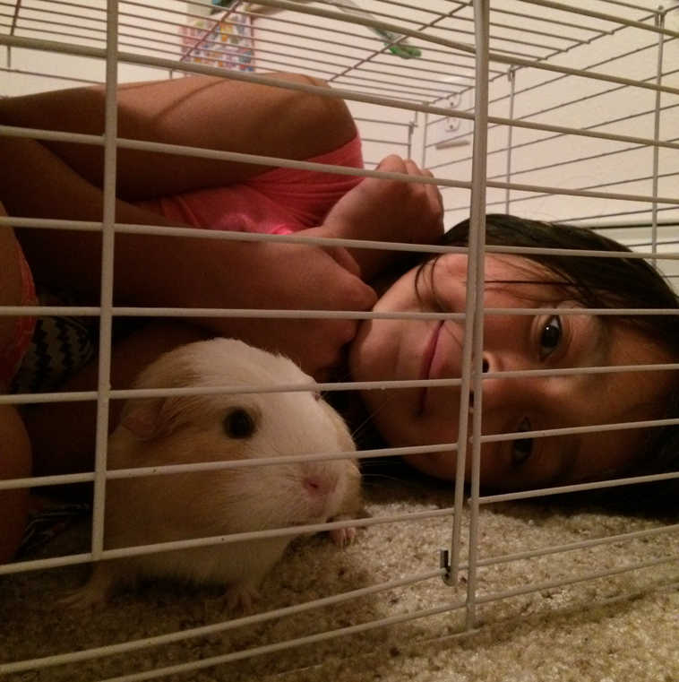 Justeena Silas shared this photo of her daughter, Mya Brown, age 8. Justeena writes, "She could fit in the cage with her guinea pig named Sqeaks! Squeaks is about a 1 year old. They are like best buddies!"