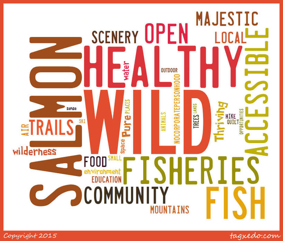 Word clouds are a fun way to show words, where the most important ones are bigger than the others. This cloud shows the responses that participants at a recent workshop on climate change gave when asked what they value about living on the Kenai Peninsula.