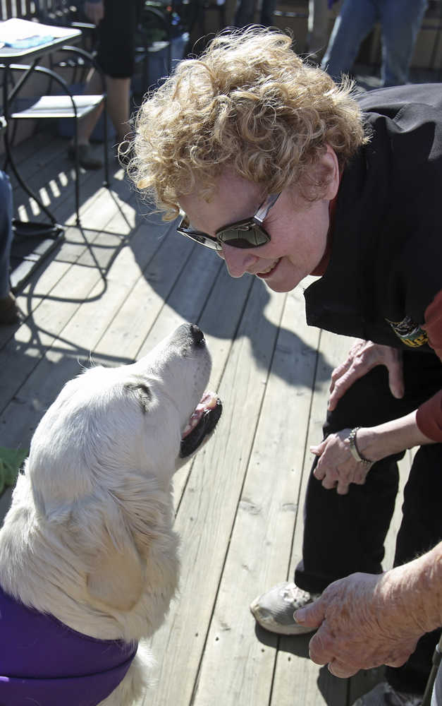 In this photo taken Sunday, April 26, 2015, Carole Romberg pets Robin, a service dog-in-training with The Other Paw Assistance Dogs, during an event to teach the public about assistance dogs and The Other Paw at Gulliver's Books in Fairbanks, Alaska. (Erin Corneliussen/The Fairbanks Daily News-Miner via AP) MANDATORY CREDIT